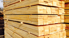 2024年南方松木出口增加显著岁尾略有回落