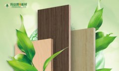 伟业牌ENF板材健康糊口的“实力担任”